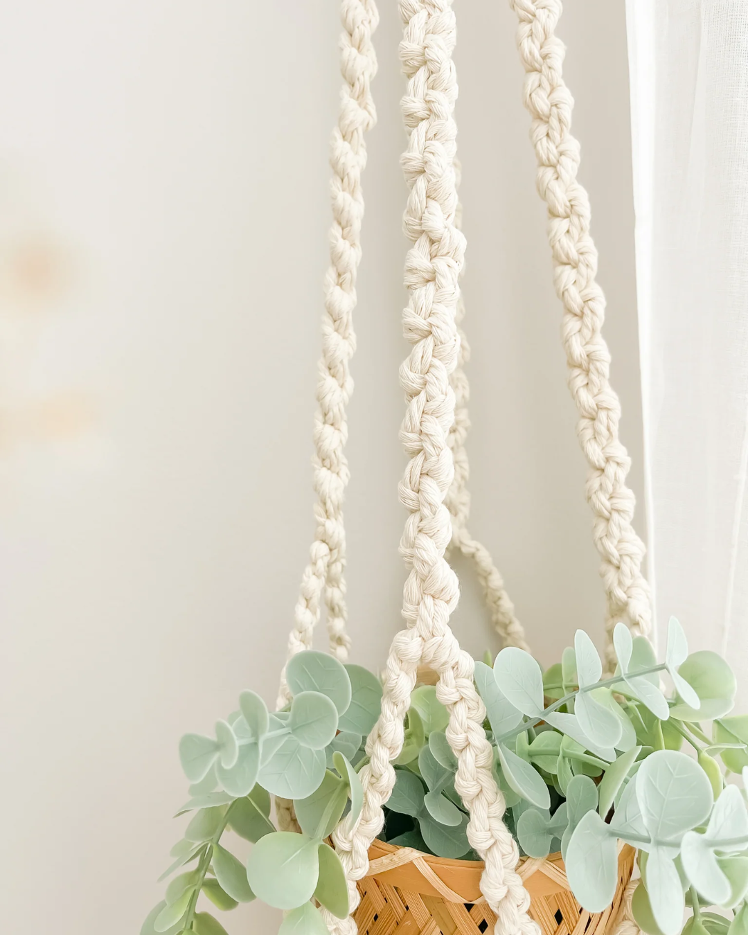 BRAIDED PLANT HANGER